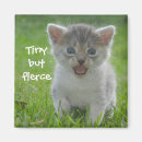 Search for fierce magnets Humour