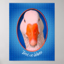 Search for animal faces posters Farm