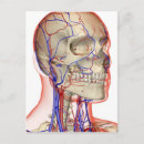 Search for human face postcards People