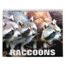 Search for raccoon calendars Nature