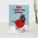 Search for red hats birthday cards Animal
