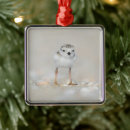 Search for birds christmas tree decorations Animal
