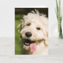 Search for dog panting cards Pet