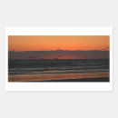 Search for flying seagull stickers Ocean