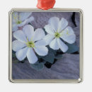 Search for petals christmas tree decorations Blossom