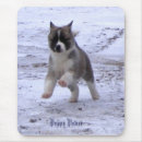 Search for inu electronics Puppy