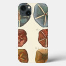 Search for sand dollar cases Shell