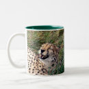 Search for 2 spot drinkware Spots