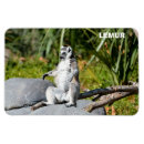 Search for primate magnets Madagascar