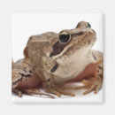 Search for blood square magnets Wildlife