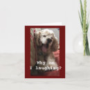 Search for retired veterinarian cards Co worker