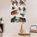 Search for zoology posters Biology