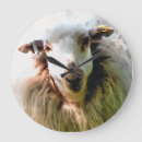 Search for ewe art Farms