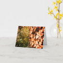 Search for rustic country note cards Nature