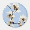 Search for springtime magnets White