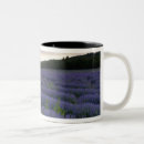 Search for lavender field coffee mugs France