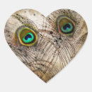Search for peacock feathers stickers Birds