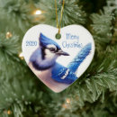 Search for blue jay christmas tree decorations Watercolor