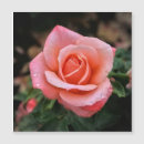 Search for botanical prints cards Flower