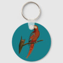 Search for ara accessories Animals