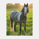 Search for horse photo blankets Horses