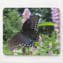 Search for critter electronics Nature