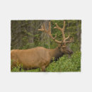 Search for banff national park blankets Danita delimont