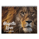 Search for beasts office supplies Lion