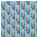Search for parrot fabric Cute