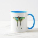 Search for teal butterfly mugs Butterflies