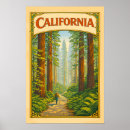Search for redwood tree posters Travel