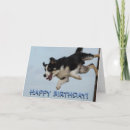 Search for border collie birthday cards Cute