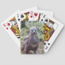 Search for with attitude photography Wildlife