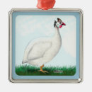 Search for guinea fowl decor Poultry