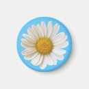 Search for white daisy magnets Daisies