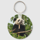 Search for china panda key rings Wildlife