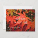 Search for maple leaves postcards Fall