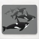 Search for killer whale mousepads Orca