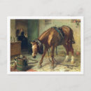 Search for 73 postcards Landseer