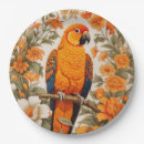 Search for sun conure Vintage