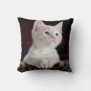 Search for double sided photo cushions Pet