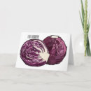 Search for cabbage cards Vegetable