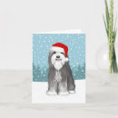 Search for bearded collie christmas cards Beardie
