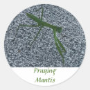 Search for pray for stickers Praying