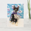 Search for tuxedo cat christmas cards Kitten