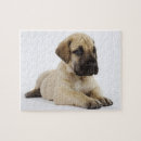 Search for great dane puzzles Animals