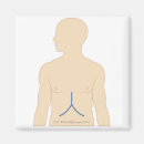 Search for medical tools posters Accuracy