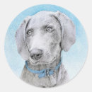 Search for weimaraner dog stickers Grey ghost