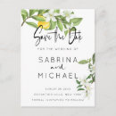 Search for lemon save the dates Ztraditional
