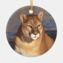 Search for mountain lion christmas tree decorations Wildlife
